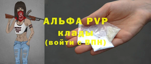 гашик Арсеньев